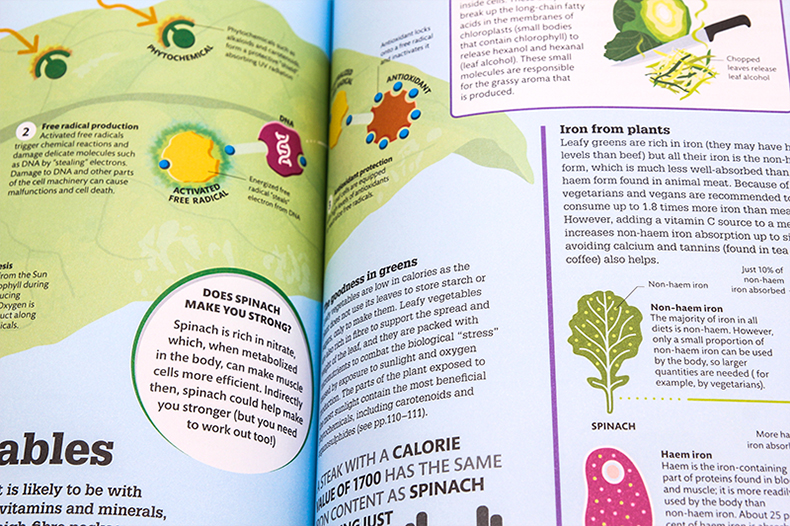 现货DK视觉图解百科食物是如何运作的可视化图解案例How Food Works The Facts Visually Explained英文原版科普读物精美插图 精装 - 图3