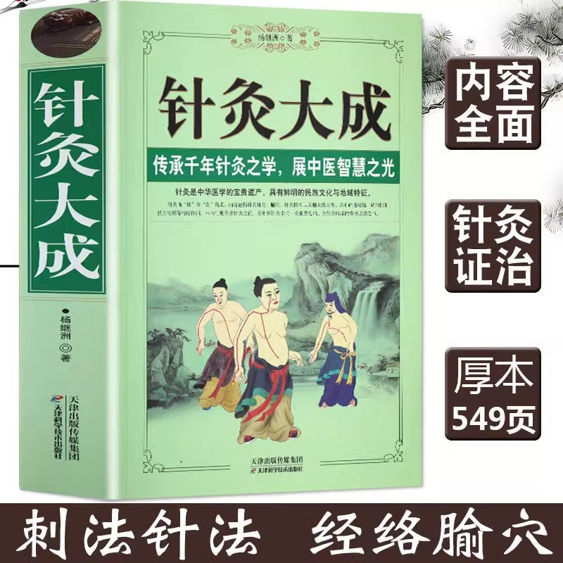 正版针灸大成原文集注白话解完整版杨继洲艾灸中医针灸基础理论