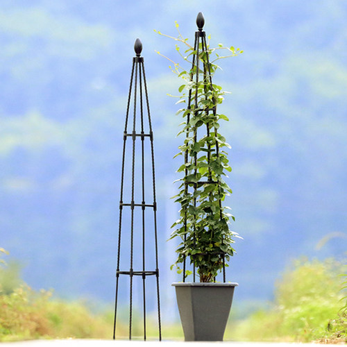 塔型园艺小鸟头攀爬架室外花苞爬藤架包塑尖头花支架花卉植物花架 - 图1