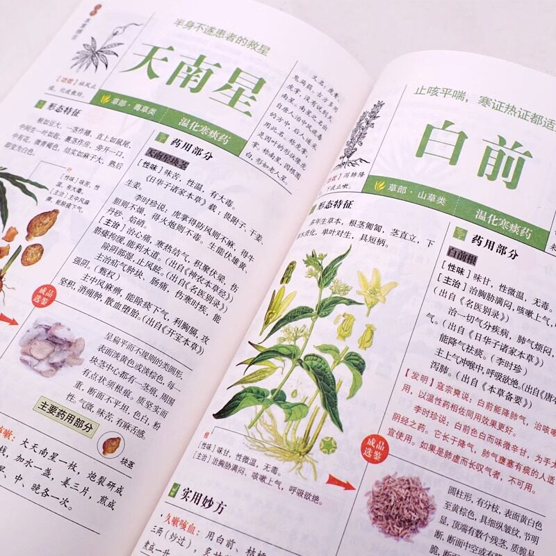 本草纲目 正版李时珍 全彩图解白话文典藏版 中医基础理论中医书籍大全经典医药大全养生中草药全图鉴倪海厦中医书籍全套原版