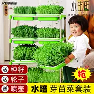 生芽菜盘 新人首单立减十元 21年9月 淘宝海外