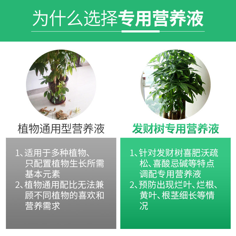 悠利发财树肥料专用肥家庭园艺浓缩植物营养液水培通用型黄叶烂根,淘宝优惠券,粉丝福利购,淘宝优惠卷