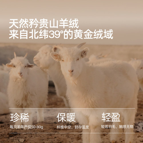 小野和子羊绒打底裤2025年新款灰色薄款保暖连裤袜咖色秋冬外穿女 - 图0