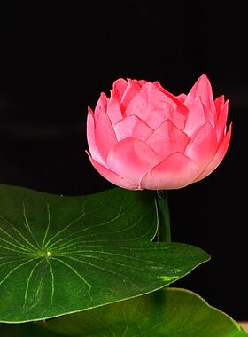 新款仿真荷花新中式客厅装饰花束假花小盆栽家居高级摆件佛堂荷花
