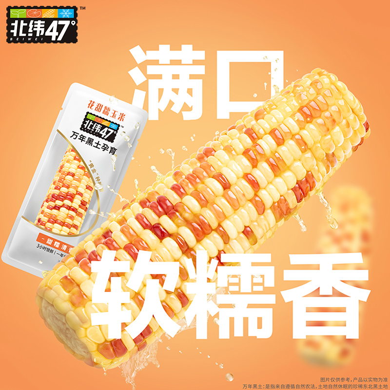 北纬47度玉米新鲜花甜糯东北黑龙江糯玉米真空包装软糯香甜粗粮