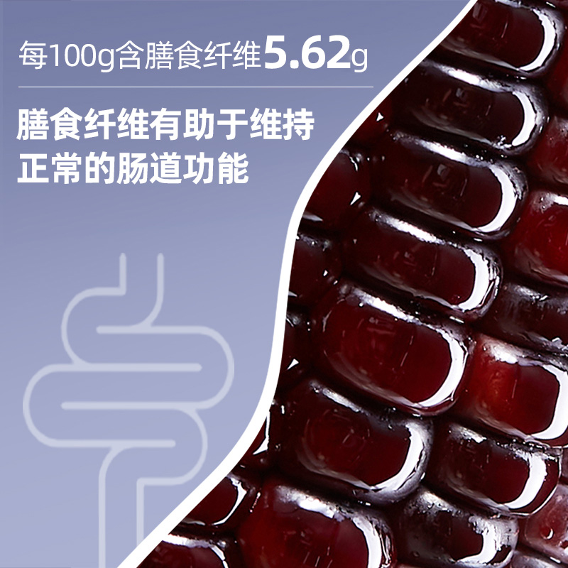 北纬47度黑糯玉米东北新鲜玉米真空包装糯玉米粗粮营养早餐