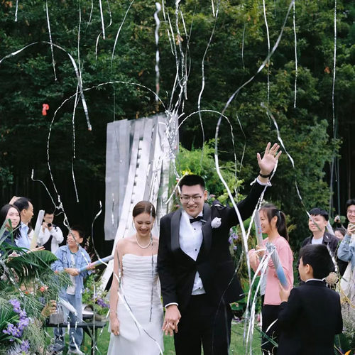 流星雨彩带礼炮结婚手持银色丝带手拧礼花筒订婚礼现场氛围感道具 - 图0