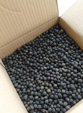 四川内江资中青皮子手链老树红橘幼果陈老师同款红桔小柑胎大红袍