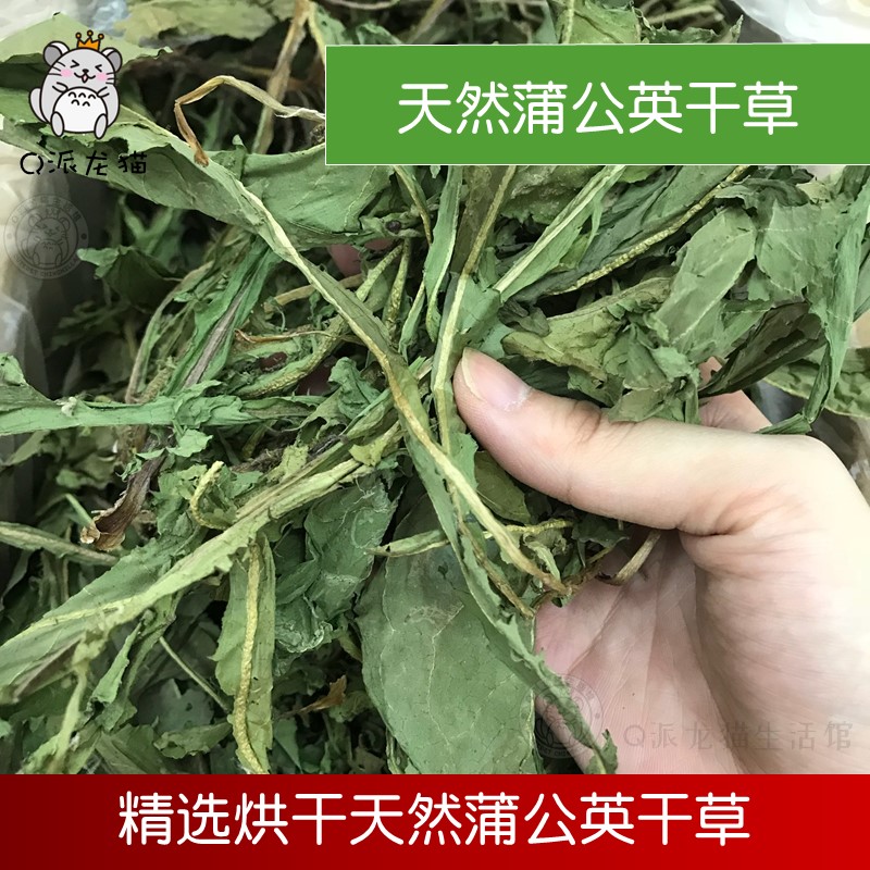 蒲公英干草清热解毒抗菌消炎兔子龙猫防治拉稀肠炎眼屎厌食50g - 图1