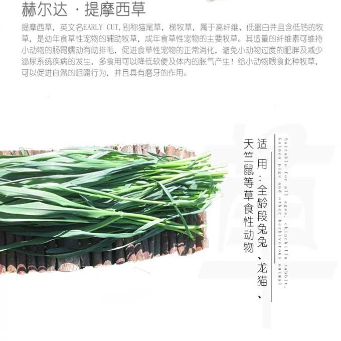 赫尔达南提 提摩西草 兔子荷兰猪全叶烘干毛重100g-1KG磨牙干草 - 图1