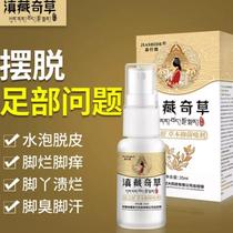 Yunnan Yunnan Tibetan Chippa Grass Foot Dashugrass Ben Bacteriostatic Spray Yunnan Tibetan Grass Foot is difficult to smell with feet and feet.
