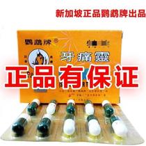 Buy 2 sent for 1 parrot Tooth Pain Singapore Original dress Hong Kong wise tooth gum periodontal periodontal pain Diem tooth decay
