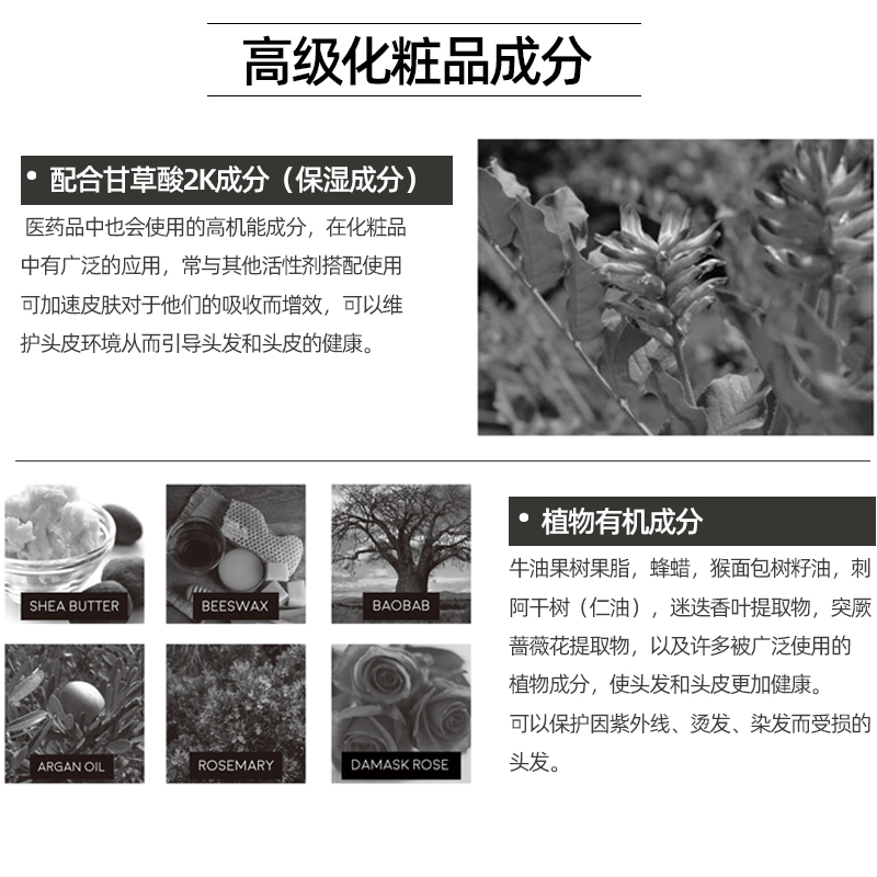 HALTEN赫兰登日本原装进口植萃洗发水控油修复护发素套装滋养发根-图3