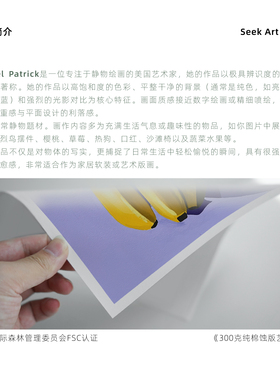 小众艺术家波谱风收藏级高级画芯