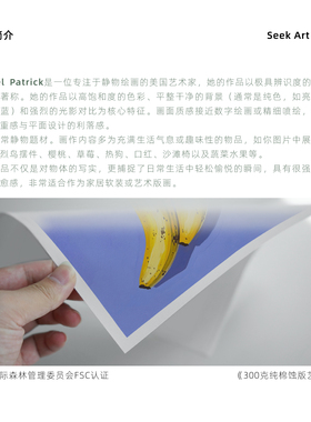 小众艺术家波谱风收藏级高级画芯