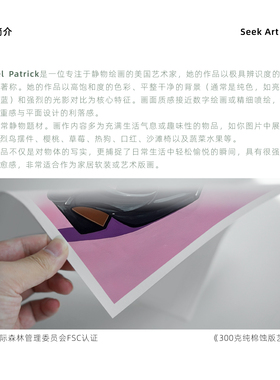 小众艺术家波谱风收藏级高级画芯
