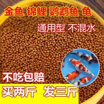 Easy to digest without water-mixing ornamental fish small goldfish feed brocade carp food small fish grain fish food fish bait