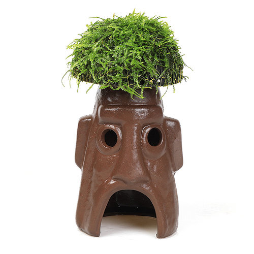 鱼缸懒人真植物鱼虾躲避罐虾屋小摆件小鱼繁殖躲避屋莫斯水草造景 - 图3