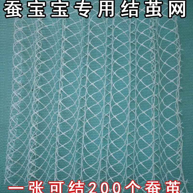 蚕宝宝结茧上蔟网结茧专用网彩蚕结茧网大蚕网塑料网方格簇清理网-图0