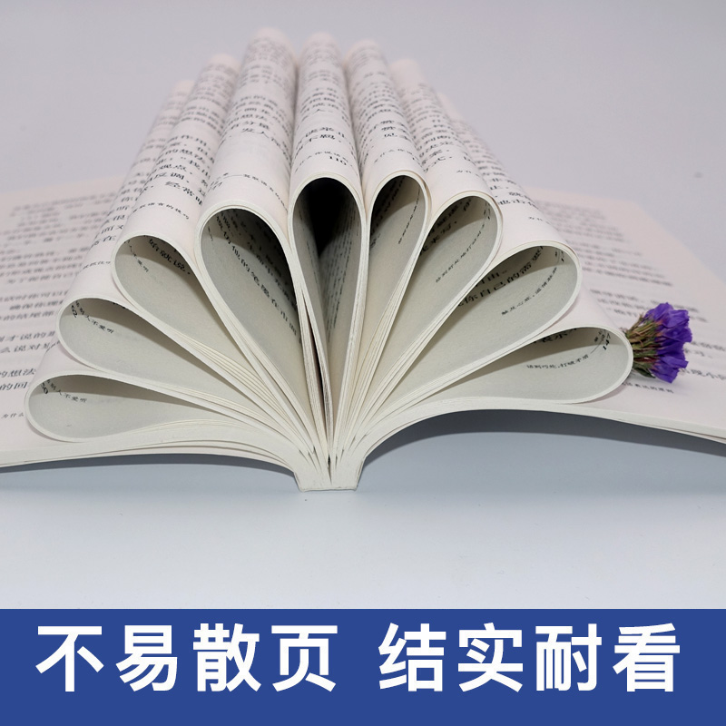 官方正版 为什么你说话别人不爱听 即兴演讲 关键对话掌控人生关键时刻 征服他人的说话技巧沟通交流技术演讲与口才训练书