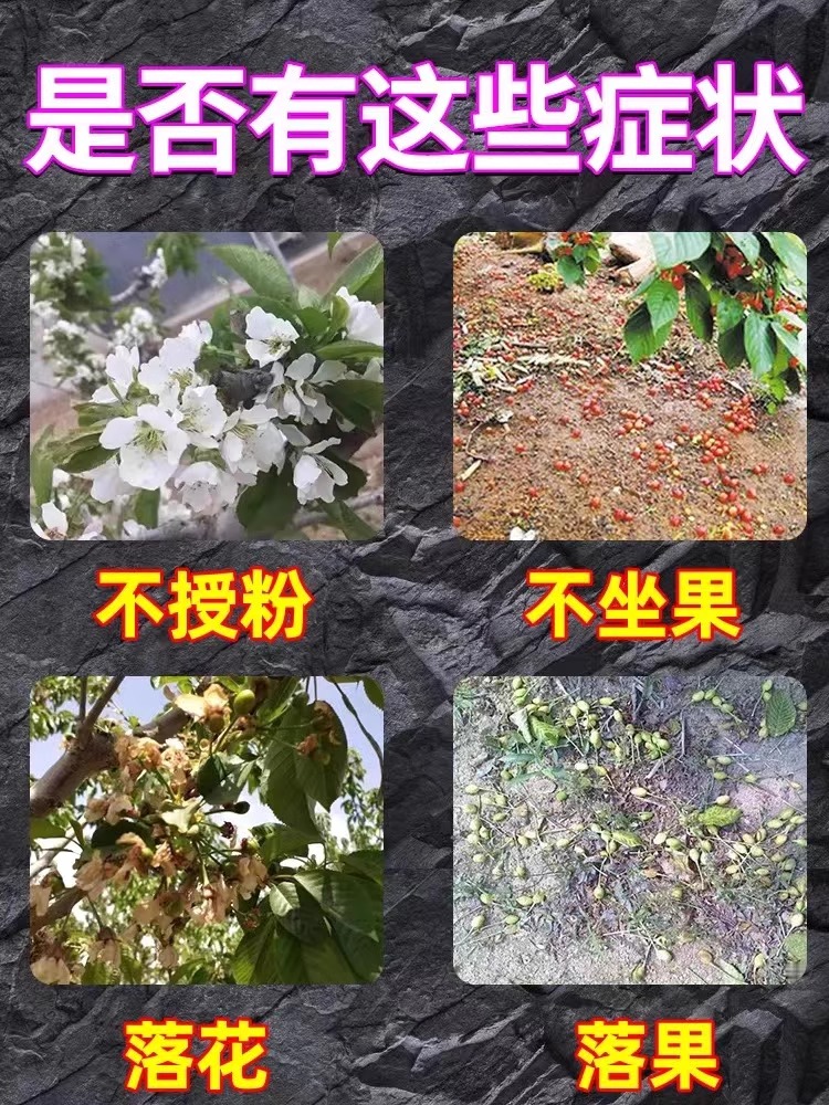 大樱桃授粉专用药车厘子授粉坐果精保花保果药防落果防裂促花催花 - 图0