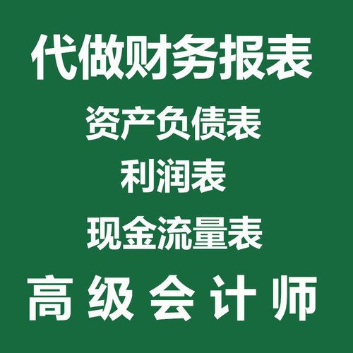 代做财务报表资产负债表利润表现金流量表个体户公司招投标用 - 图0