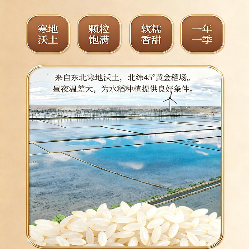 东北农家精选大米10斤直发价鲜米新米颗粒饱满软糯弹牙煮粥米饭香