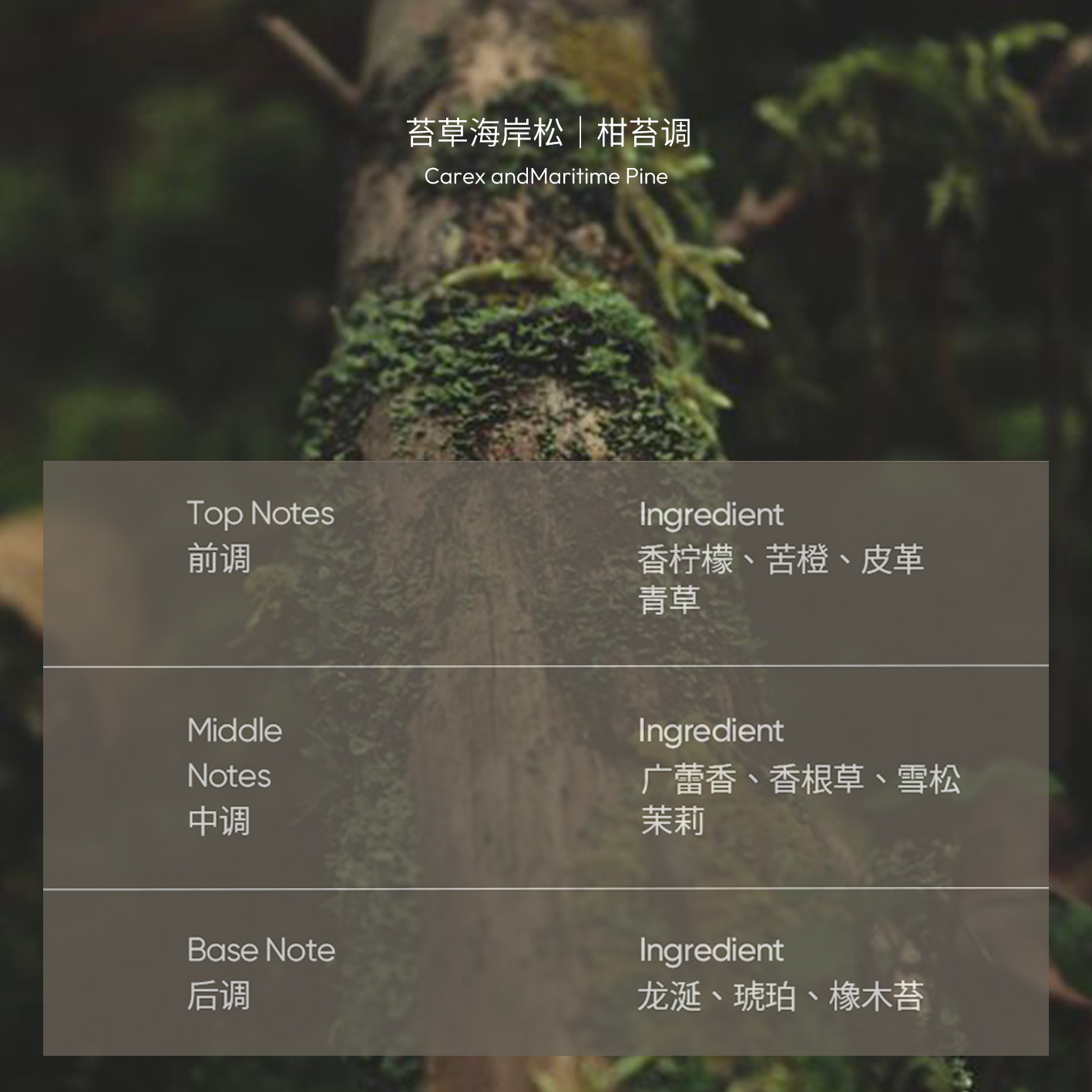 PARB植萃净润水感沐浴油柑苔调干皮以油养肤清洁滋润保湿留香洗护