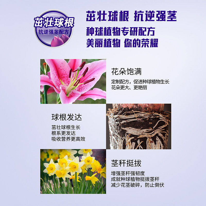 美乐棵种球专用营养液水仙种球朱顶红百合郁金香风信子风雨兰肥料,淘宝优惠券,粉丝福利购,淘宝优惠卷