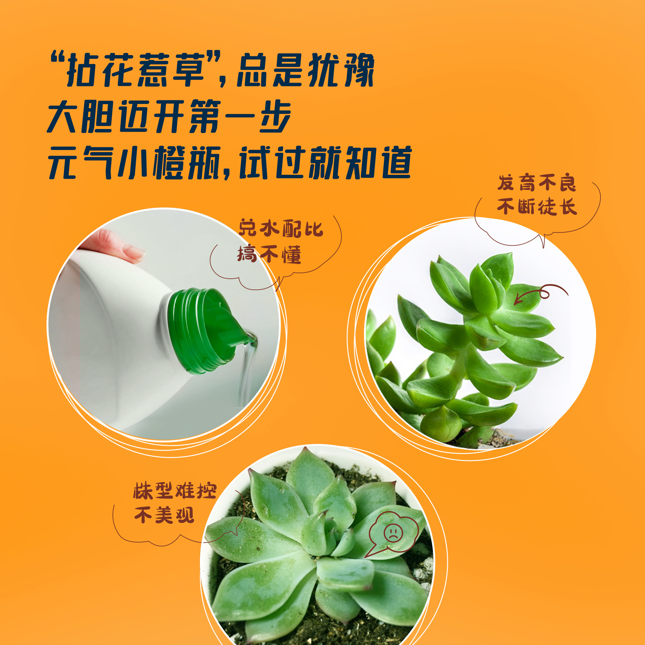 美乐棵多肉老桩仙人掌仙人球专用型植物免稀释盆栽肥料营养液花肥,淘宝优惠券,粉丝福利购,淘宝优惠卷