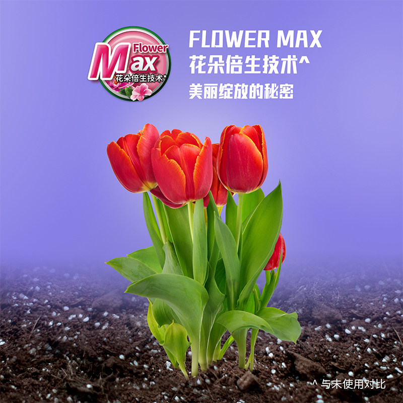 美乐棵种球专用营养液水仙种球朱顶红百合郁金香风信子风雨兰肥料,淘宝优惠券,粉丝福利购,淘宝优惠卷