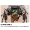 Mingjiang 100mmF2.8 full-frame macro lens
