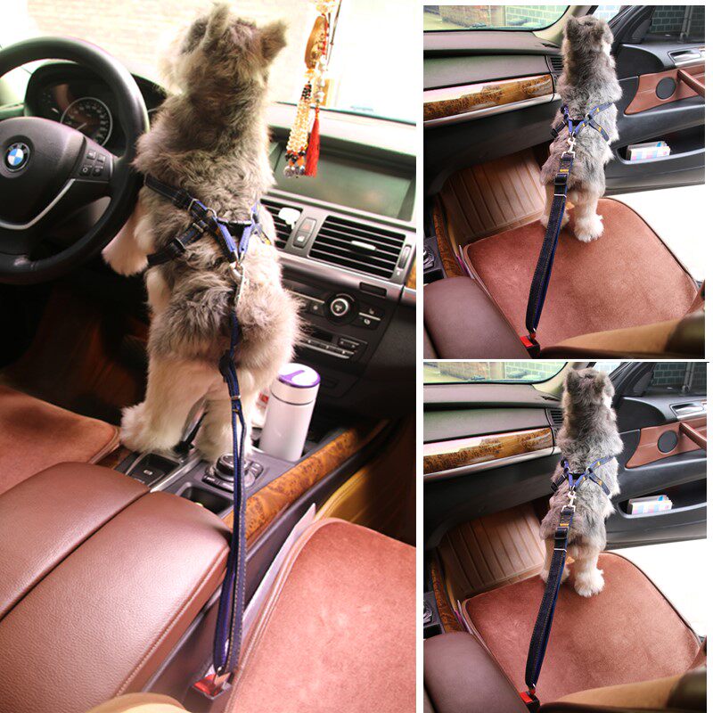 狗狗出行用品车载专用宠物狗安全带泰迪法斗比熊小型犬汽车安全扣,淘宝优惠券,粉丝福利购,淘宝优惠卷