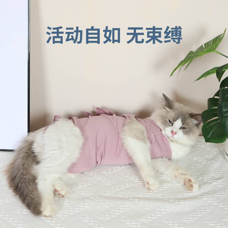 可调节式猫咪手术后防舔服宠物猫绝育服透气小猫断奶服公母猫衣服-图0