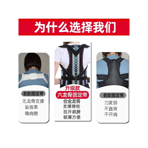 Задняя фиксация ремня позвоночника изгибание позвоночника поясничный отдел позвоночника торакальная грудная грудная грудная грудная грудная грудная клетчатка