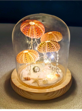 天然海胆壳贝壳水母小夜灯diy手工材料包送儿童女友礼物装饰摆件