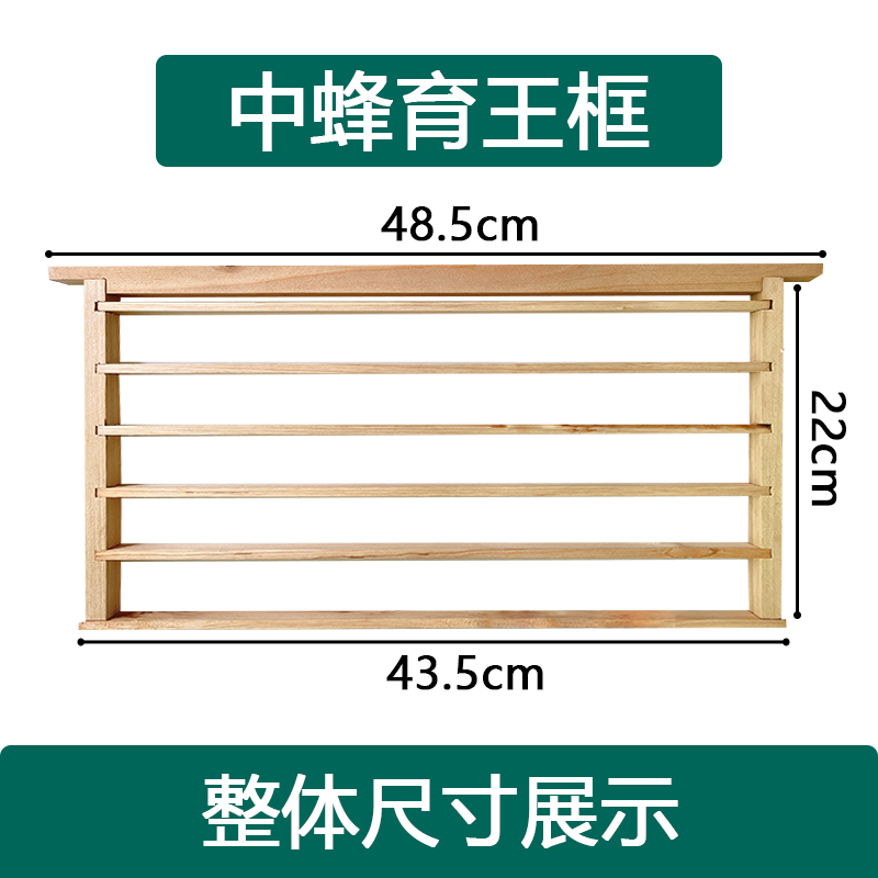 育王框养蜂用具巢框蜜蜂蜜蜂箱人工育王台架中蜂换王养蜂系列用具 - 图1