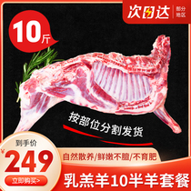 Lamb freshly killed half a sheep 10 catty lamb sheep leg whole sheep scorpion Scorpion Frozen Barbecue Hotpot Ingredients Gift Box