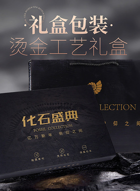 天然化石家居矿物收藏摆件