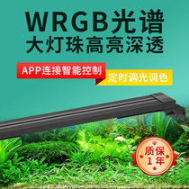 Full Spectrum Fish Tank Lamp Led Waterproof Tricolour Sea Cylinder Light Coral Lamp Wrgb Water Grass Lamp Fish Tank Poplar