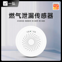 ZigBee Graffiti Intelligent Gas Detector Gas Leak Sensor Gas Alarm