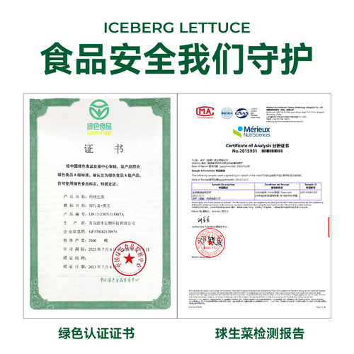 【绿行者】出口级球生菜新鲜包邮汉堡用圆生菜蔬菜沙拉菜4斤 - 图3