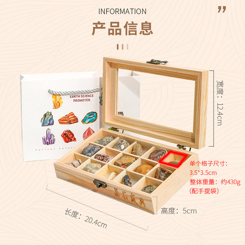 15种天然化石标本矿物礼盒玉化螺菊石三叶虫石头宝石科普玩具礼物 - 图3