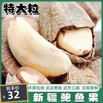 Abalone fruits Xinjiang canned nuts casual food raw meal free of exfoliating dried fruits large grain scents crisp