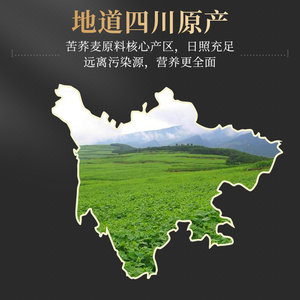 南京同仁堂黑苦荞茶四川大凉山荞麦茶正宗大麦茶官方旗舰店正品