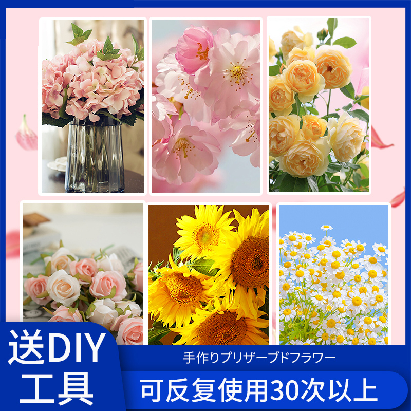 鲜花干燥剂硅胶粉玫瑰花朵保存diy做相框久永生花干花制作专用料 - 图3