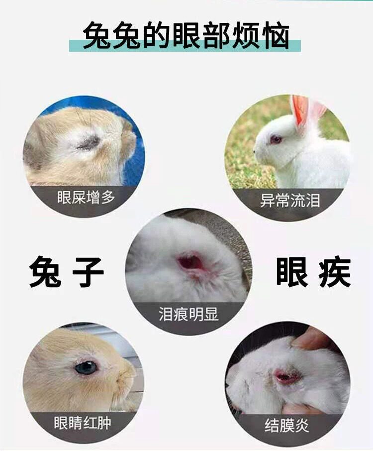 兔子眼药水兔子眼睛发红流泪流脓角膜炎眼屎多眼部清洁护理滴眼液