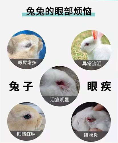 兔子眼药水兔子眼睛发红流泪流脓角膜炎眼屎多眼部清洁护理滴眼液 - 图1
