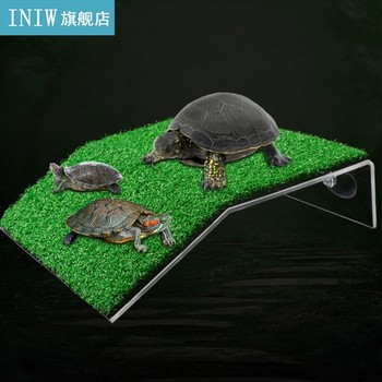 Turtle Basking Drying Platform Suction Cup Tortoise Climbing