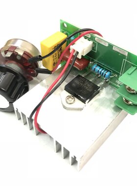 AC 220V 4000W High Power SCR Electronic Volt Regulator Motor